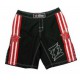 AB8. Универсальные Шорты Fairtex, для всех видов спорта. Модель 2013 г.