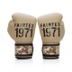 BGV25 F-DAY2 FAIRTEX Limted Edition. Перчатки Боксерские.
